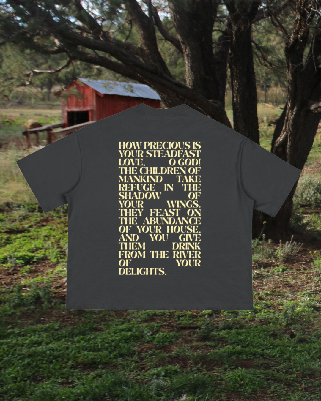 Psalms Series | Custom Boxy Tee