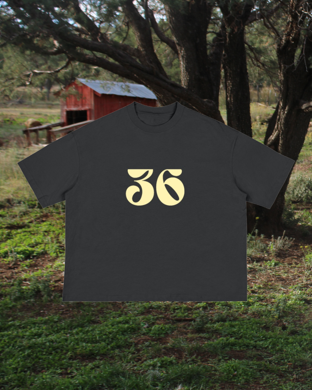 Psalms Series | Custom Boxy Tee