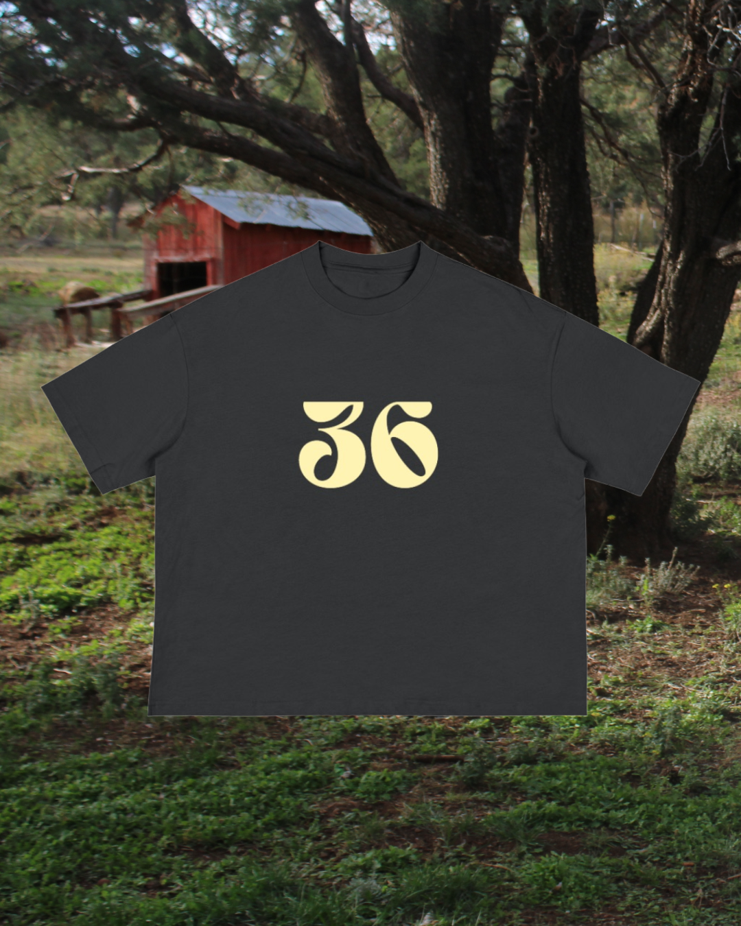 Psalms Series | Custom Boxy Tee