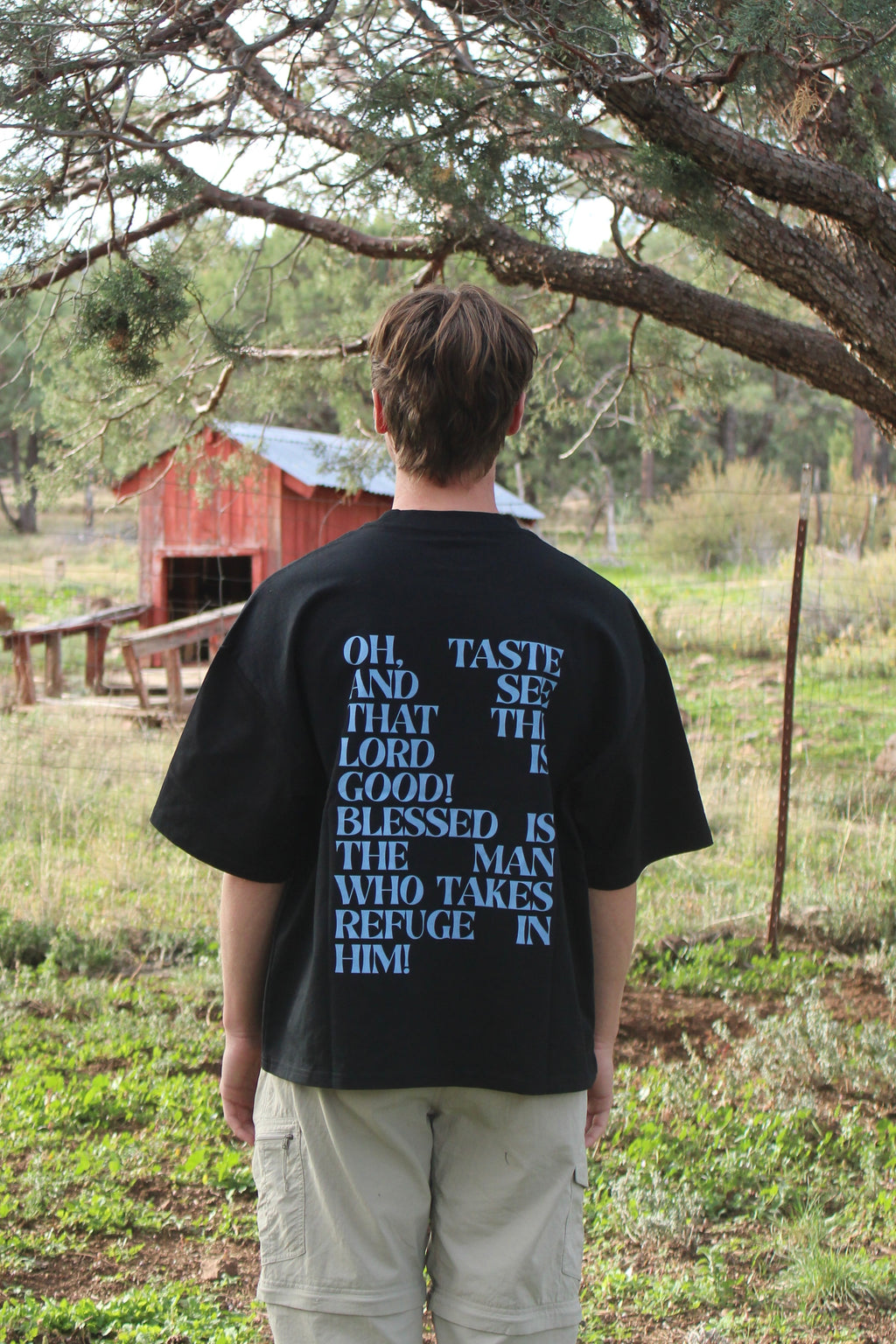 Psalms Series | Custom Boxy Tee