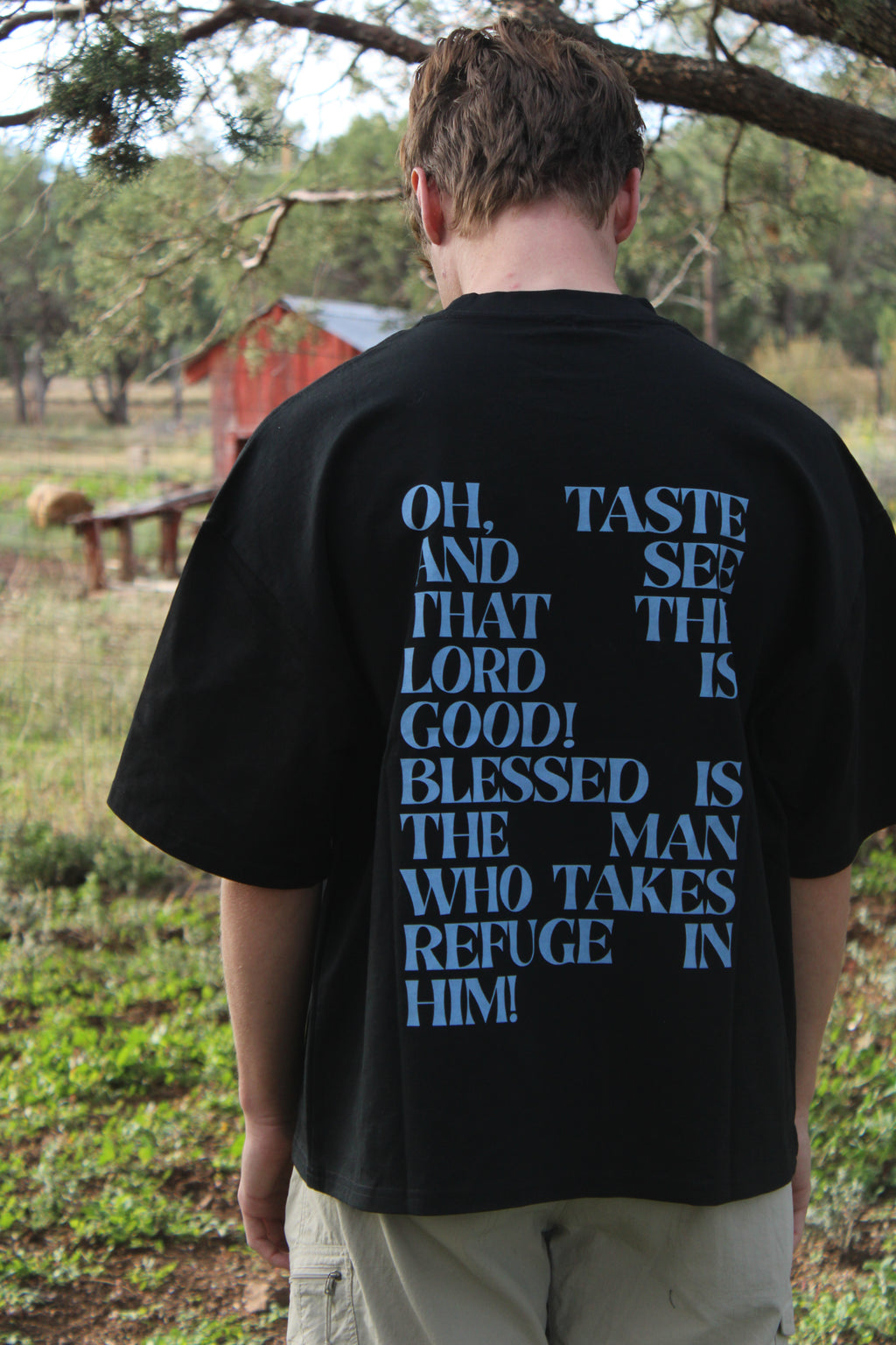 Psalms Series | Custom Boxy Tee