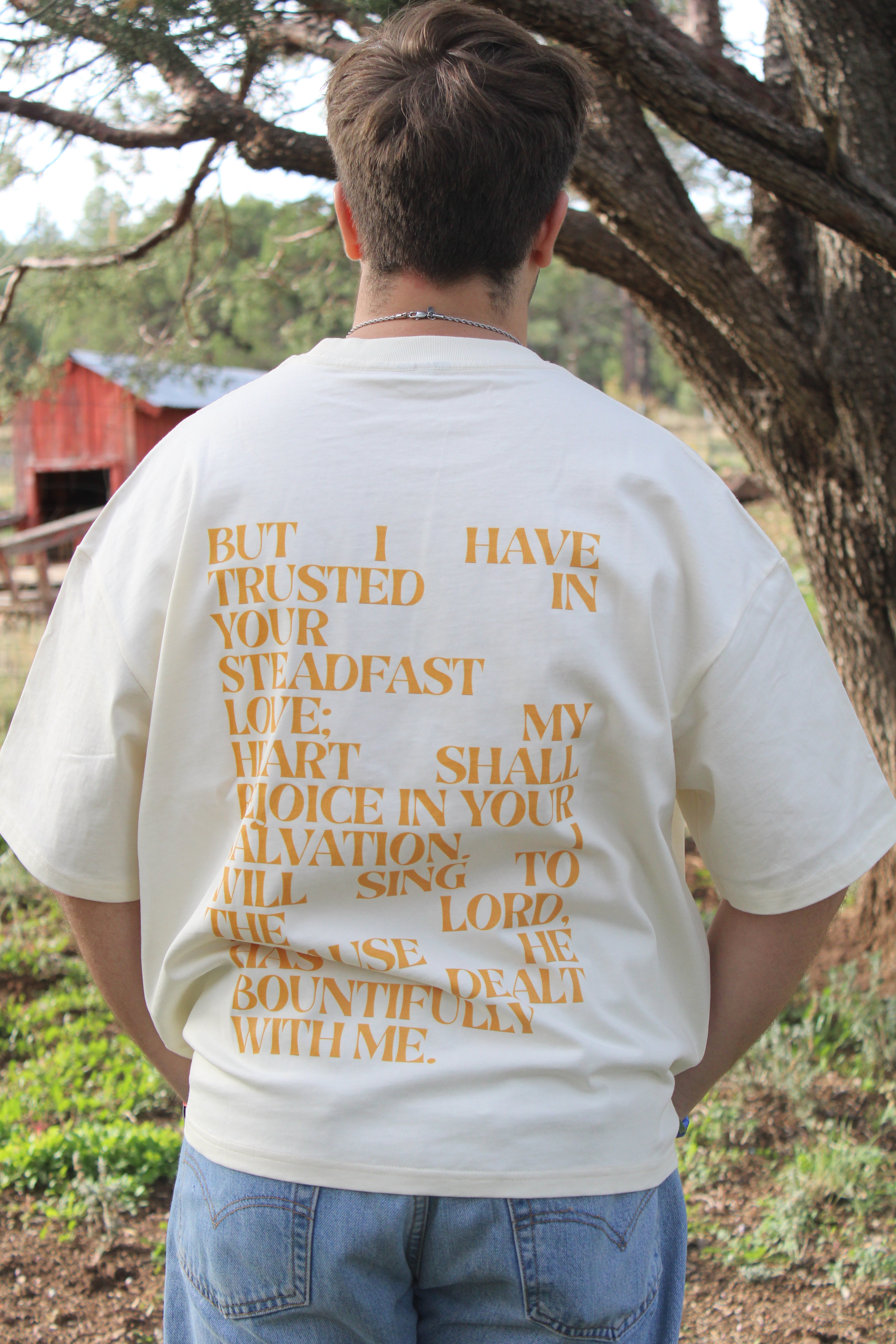 Psalms Series | Custom Boxy Tee