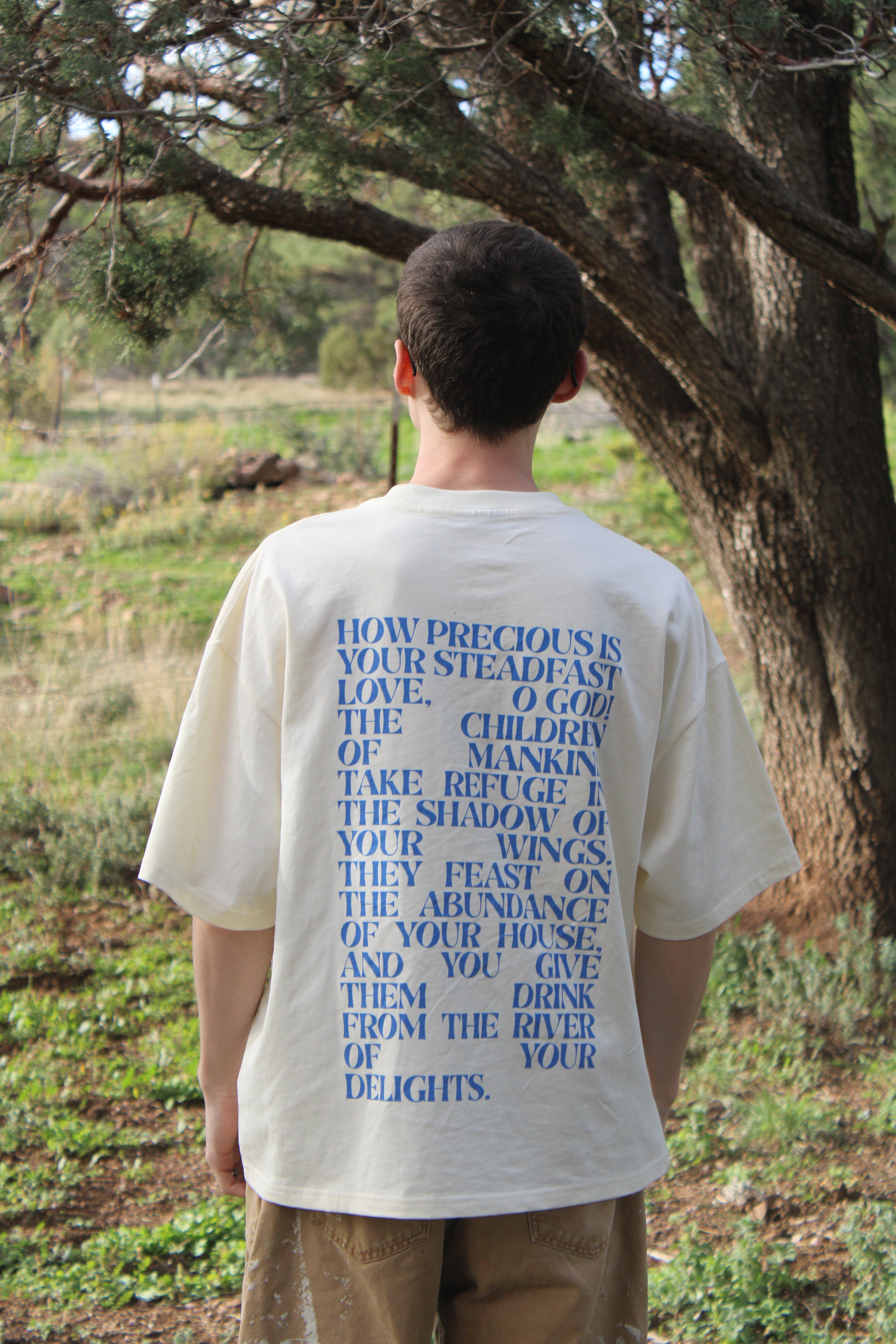 Psalms Series | Custom Boxy Tee